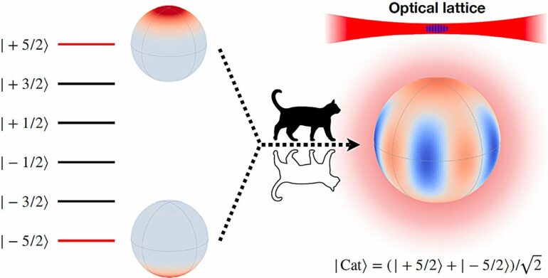 Long-lived Schrödinger's-cat state achieves Heisenberg-limited ...