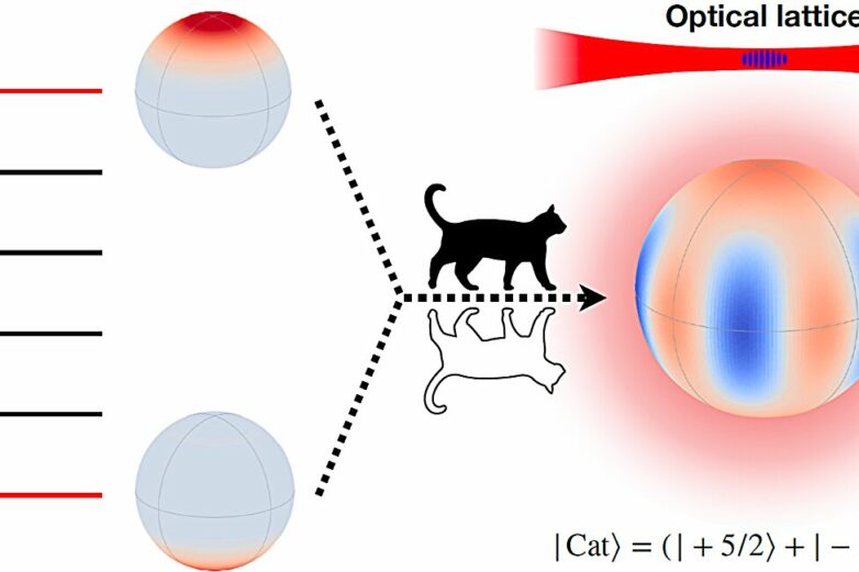 Long-lived Schrödinger's-cat state achieves Heisenberg-limited ...