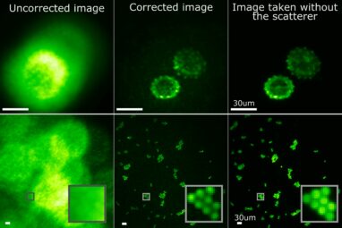 Megapixel fluorescence microscopy through scattering layers made ...