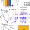 The next evolution of AI begins with ours: Neuroscientists devise ...