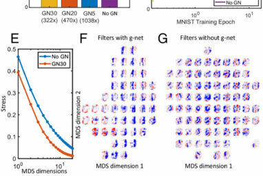 The next evolution of AI begins with ours: Neuroscientists devise ...