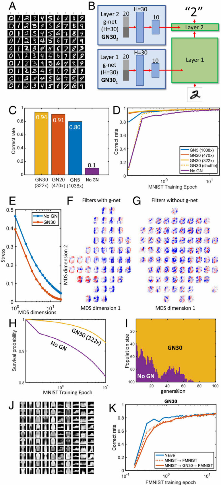 The next evolution of AI begins with ours: Neuroscientists devise ...