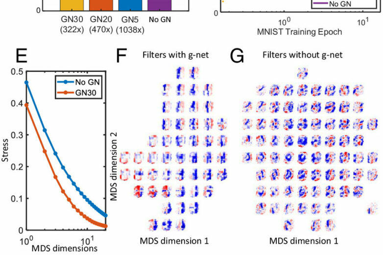 The next evolution of AI begins with ours: Neuroscientists devise ...