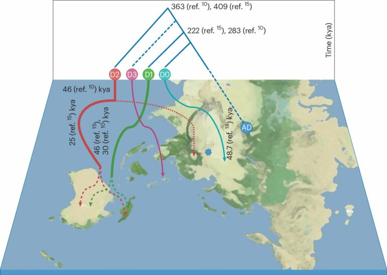 New insights into the Denisovans—the hominin group that interbred ...