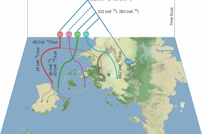 New insights into the Denisovans—the hominin group that interbred ...