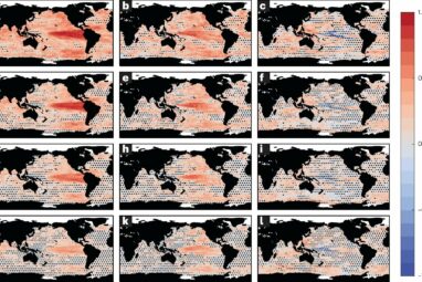 New model can predict marine heat waves, extreme ocean acidity ...