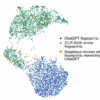 AI and human writers share stylistic fingerprints: New work by ...