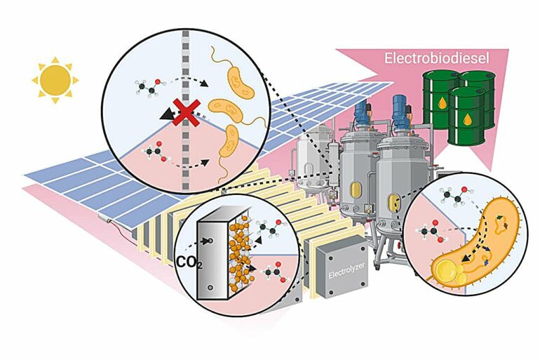 Novel electro-biodiesel offers a more efficient, cleaner ...