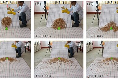 Physicists use sliding seeds to better understand landslides and ...