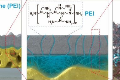 Protective TiO₂ layer enhances longevity of photoelectrodes used ...