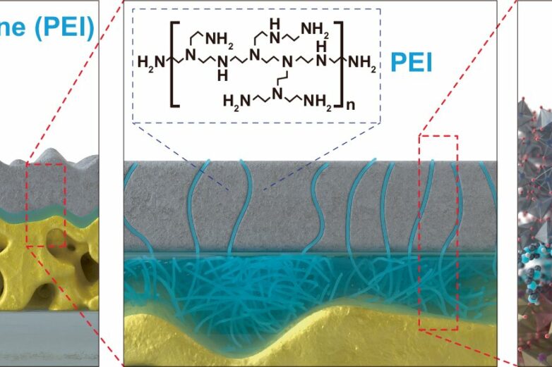 Protective TiO₂ layer enhances longevity of photoelectrodes used ...