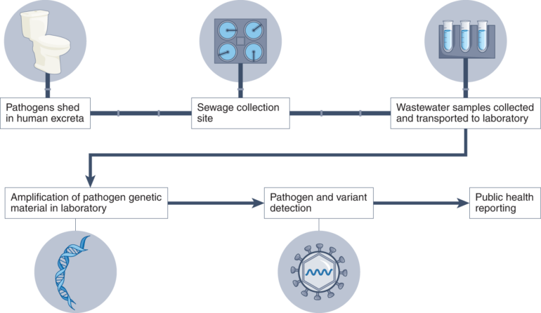 Wastewater surveillance of pathogens can inform public health ...