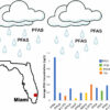 Rainwater samples reveals it's literally raining 'forever ...