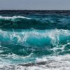 Report reveals how the state of our oceans is intrinsically linked ...