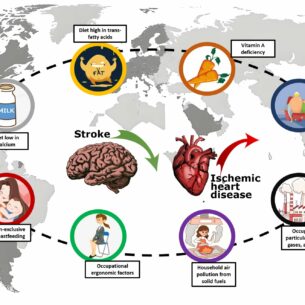 Research highlights disparities in heart disease, stroke trends ...