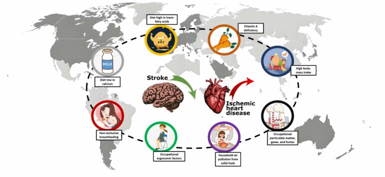 Research highlights disparities in heart disease, stroke trends ...