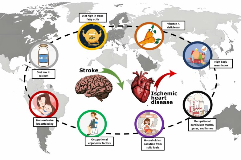 Research highlights disparities in heart disease, stroke trends ...