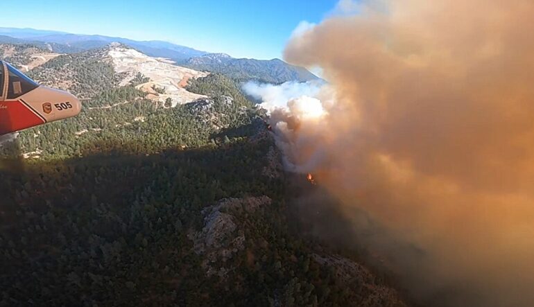 Research links wildfire smoke exposure with increased dementia risk