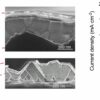 Researchers develop highly passivated TOPCon bottom cells for ...