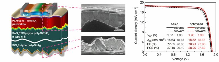 Researchers develop highly passivated TOPCon bottom cells for ...