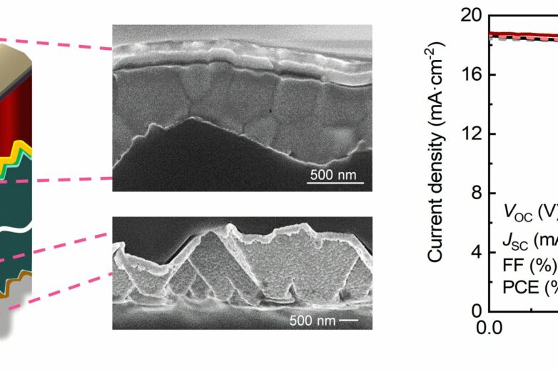 Researchers develop highly passivated TOPCon bottom cells for ...