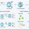 Researchers develop lysosomal 'TRAP' for clearance of viruses and ...