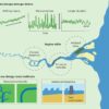 Researchers focus on tipping points in river deltas to better ...