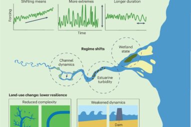 Researchers focus on tipping points in river deltas to better ...