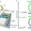 Ring resonators unlock new abilities in acoustic tweezers