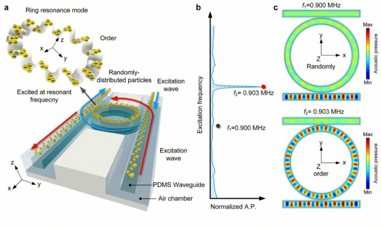 Ring resonators unlock new abilities in acoustic tweezers