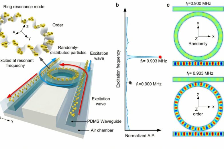 Ring resonators unlock new abilities in acoustic tweezers