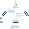 An Overview of the Recent Advances in Antimicrobial Resistance