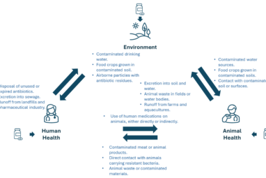 An Overview of the Recent Advances in Antimicrobial Resistance