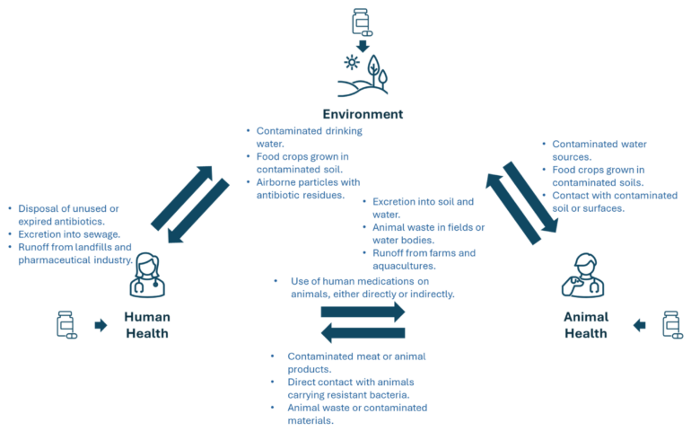 An Overview of the Recent Advances in Antimicrobial Resistance