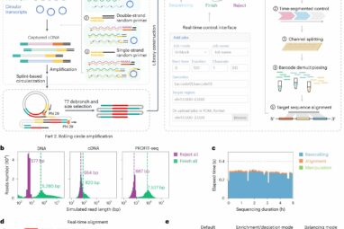 RNA sequencing approach offers real-time and programmable ...