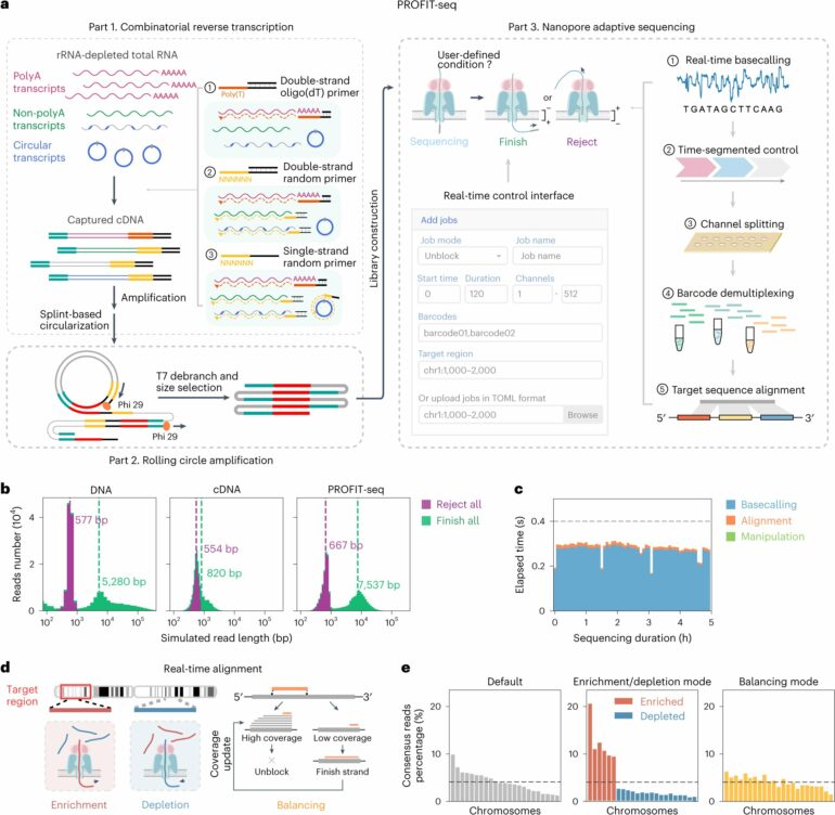 RNA sequencing approach offers real-time and programmable ...