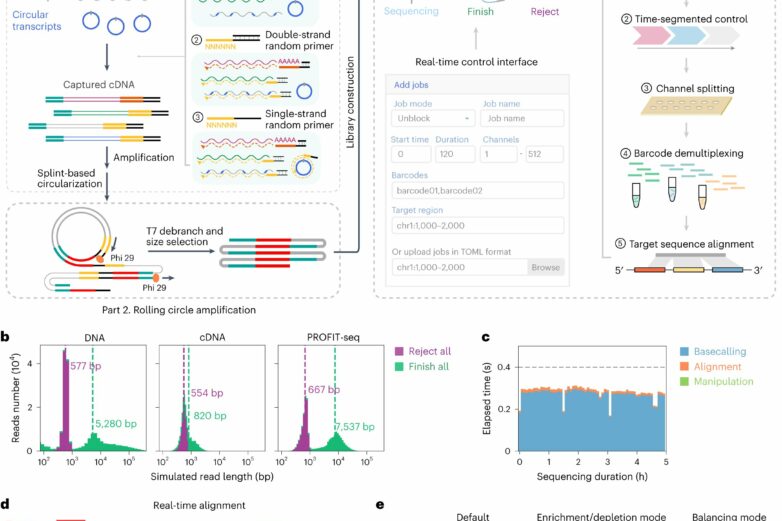 RNA sequencing approach offers real-time and programmable ...