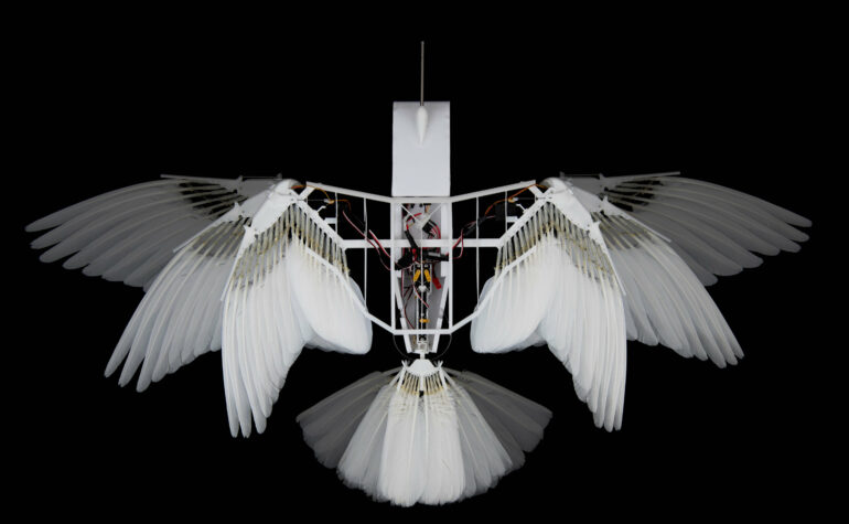 Robotic model with real pigeon feathers can fly like a bird