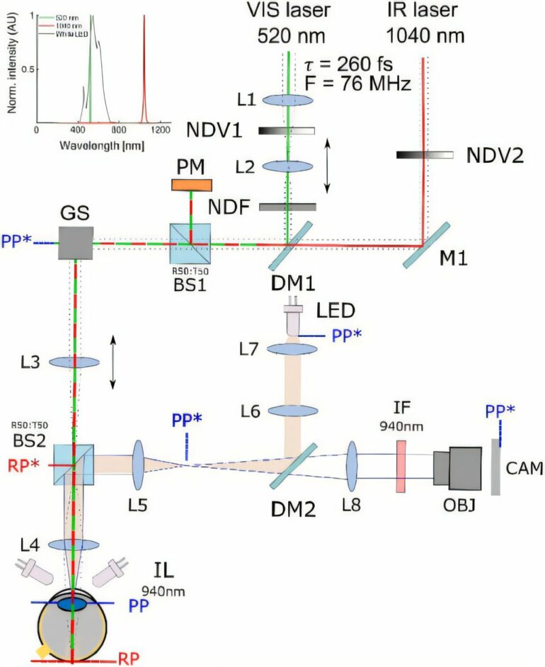 Scientists decipher two-photon vision