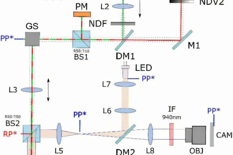 Scientists decipher two-photon vision