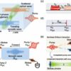 Scientists find a new way of entangling light and sound