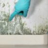 Can Mold Make You Sick? Signs of Mold Exposure