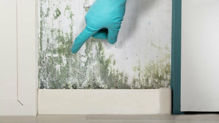 Can Mold Make You Sick? Signs of Mold Exposure