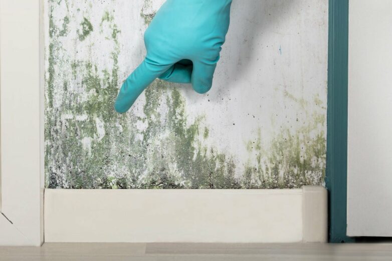 Can Mold Make You Sick? Signs of Mold Exposure