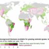 Small reductions to meat production in wealthier countries may ...