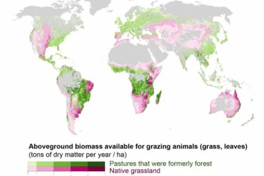 Small reductions to meat production in wealthier countries may ...