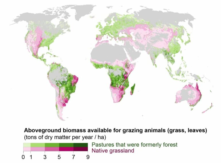 Small reductions to meat production in wealthier countries may ...