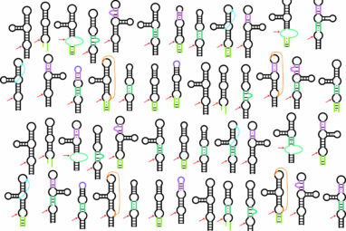 Testing thousands of RNA enzymes helps find first 'twister ...