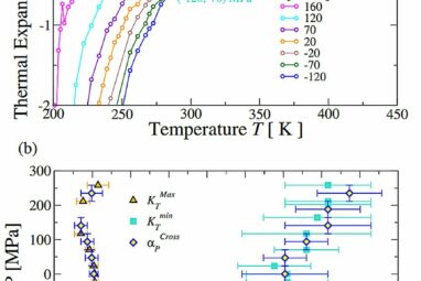 Theoretical model explains the anomalous properties of water in ...