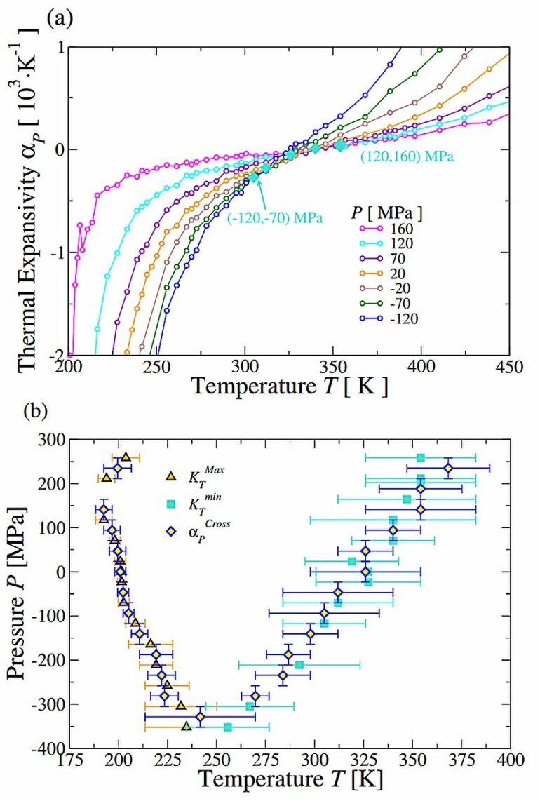 Theoretical model explains the anomalous properties of water in ...